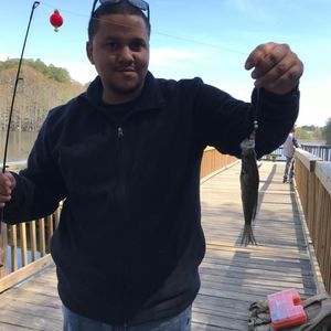 Meet your Posher, Frankie